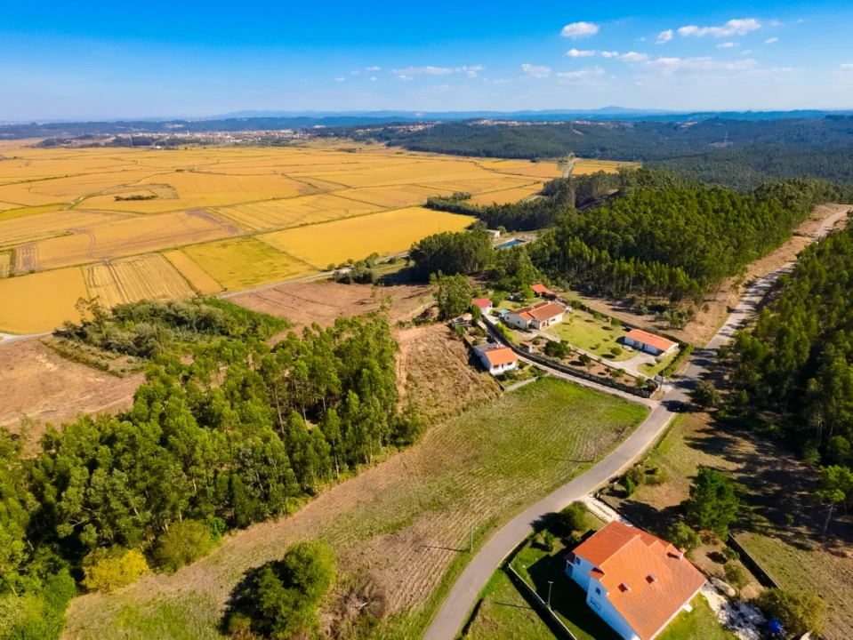 Terreno Agricola ou Rústico para Venda em Paião Foto 5