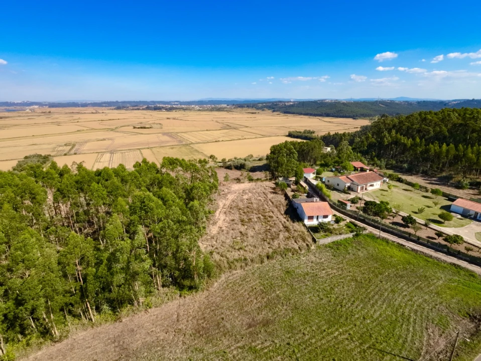 Terreno Agricola ou Rústico para Venda em Paião Foto 1