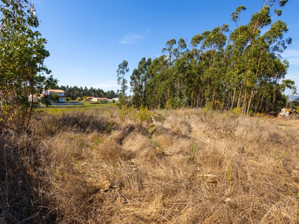 Terreno Agricola ou Rústico para Venda em Paião Foto 3