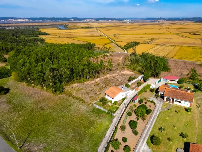 Terreno Agricola ou Rústico para Venda em Paião Foto 7