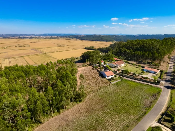 Terreno Agricola ou Rústico para Venda em Paião Foto 12
