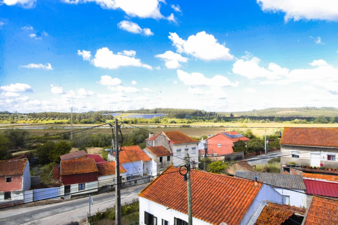 Armazém para Venda em Figueiro do Campo Foto 23