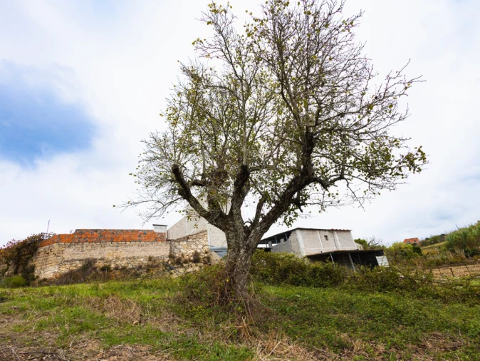 Moradia T2 para Venda em Alqueidão Foto 20