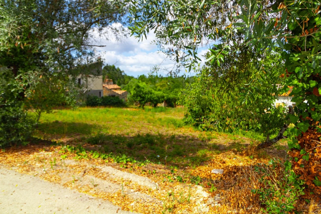 Terreno para Venda em Portunhos e Outil Foto 2