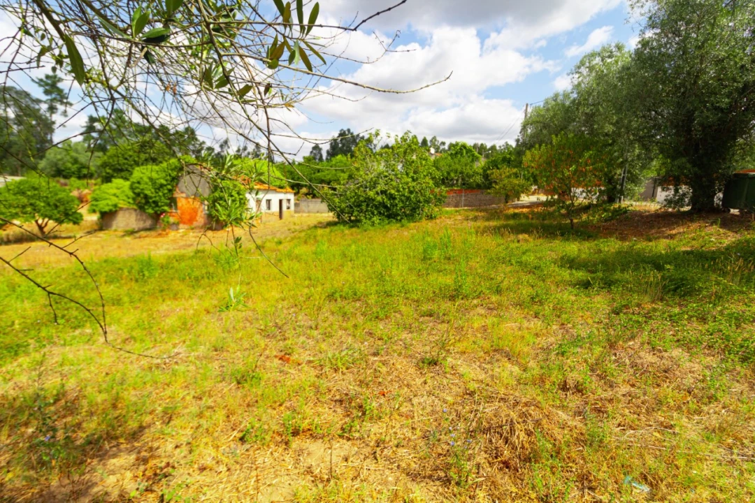 Terreno para Venda em Portunhos e Outil Foto 1