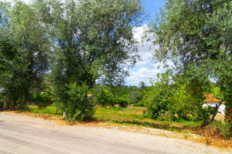Terreno para Venda em Portunhos e Outil Foto 3