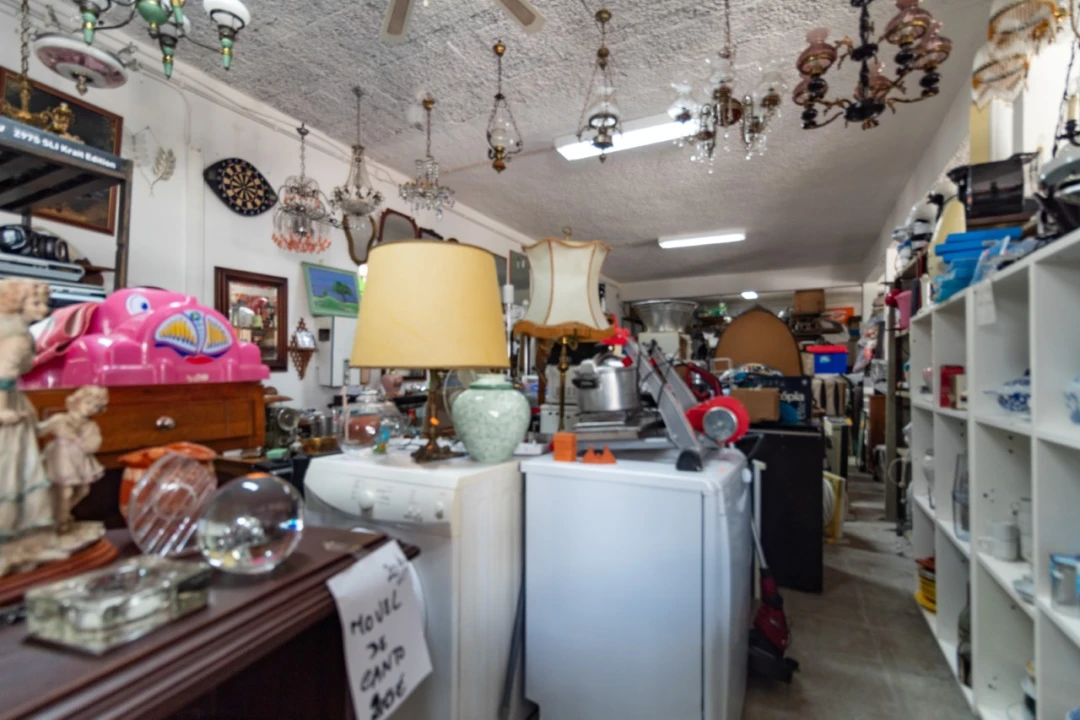 Armazém para Venda em Eiras e São Paulo de Frades Foto 9