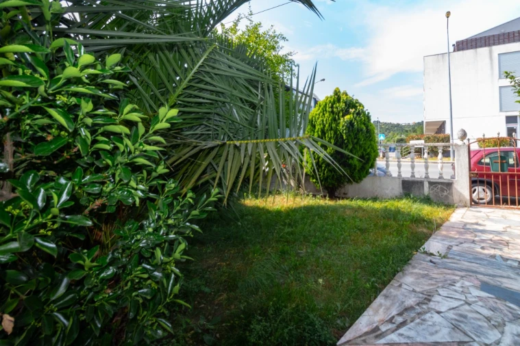 Armazém para Venda em Eiras e São Paulo de Frades Foto 10