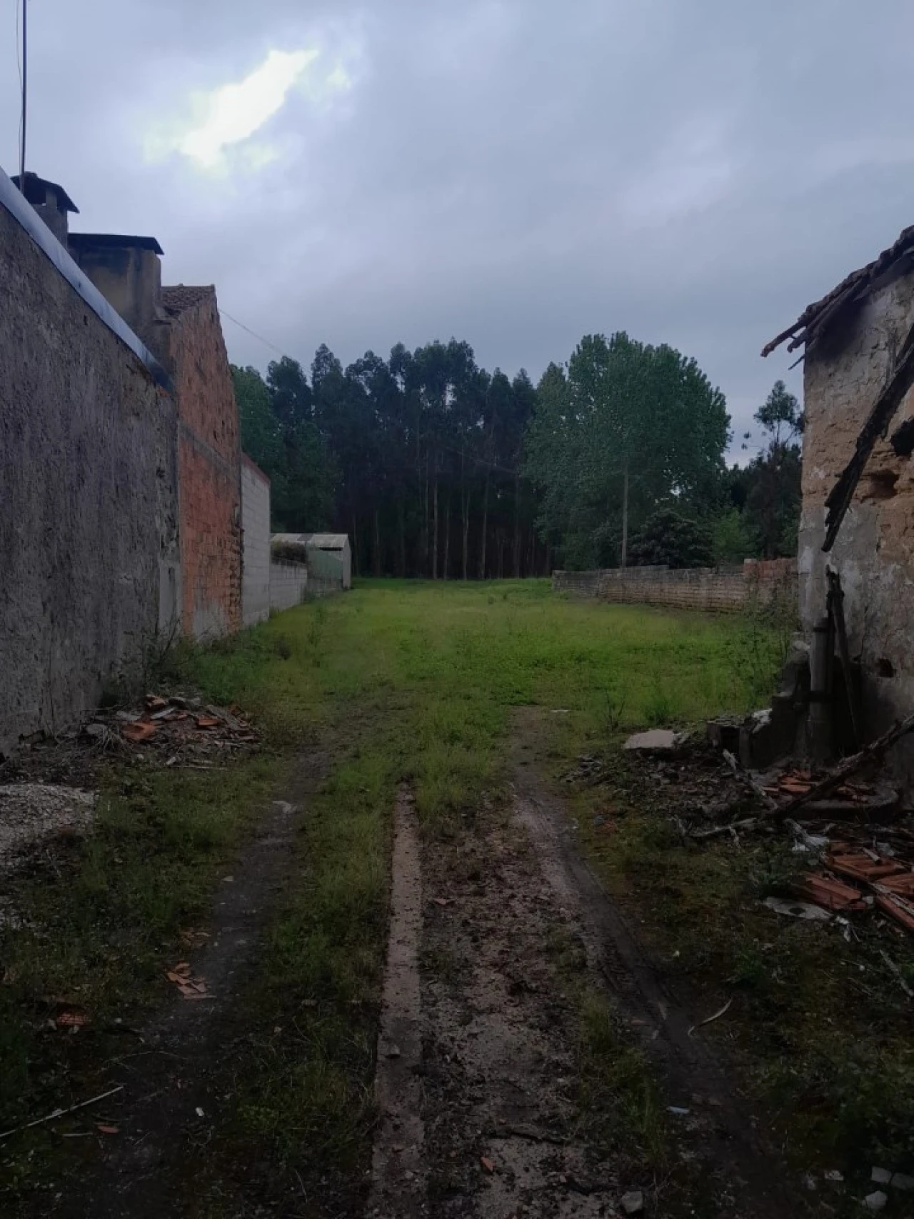 Moradia T3 para Venda em Covões e Camarneira Foto 6