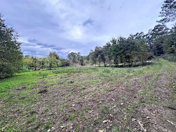 Terreno para Venda em Ganfei Foto 9