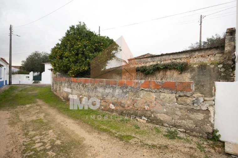 Moradia T3 para Venda em Almoster Foto 14