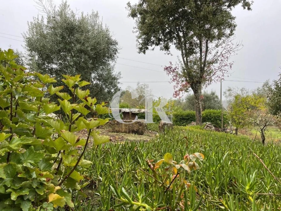 Moradia T3 para Venda em São Miguel de Poiares Foto 26