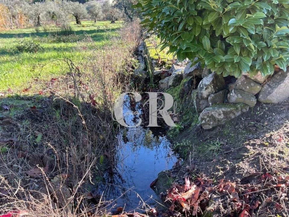 Moradia T3 para Venda em São Miguel de Poiares Foto 28