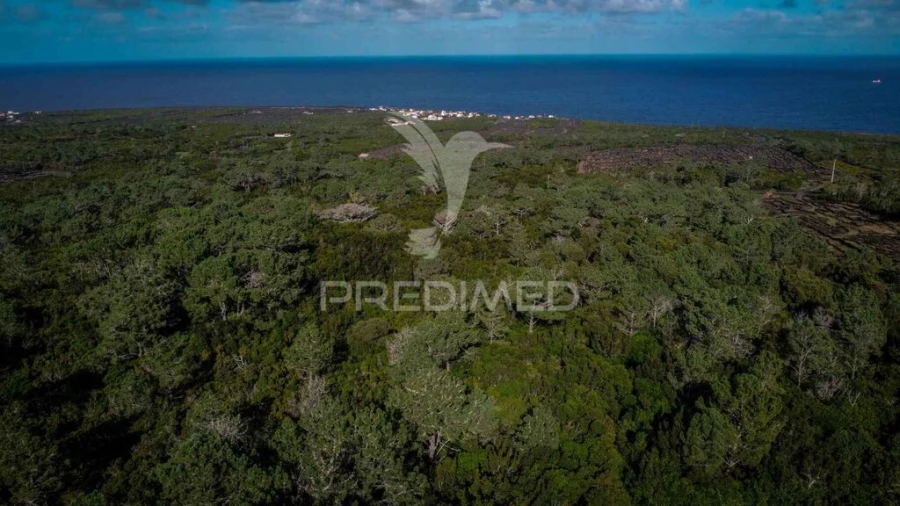 Terreno para Venda em Santa Luzia Foto 3