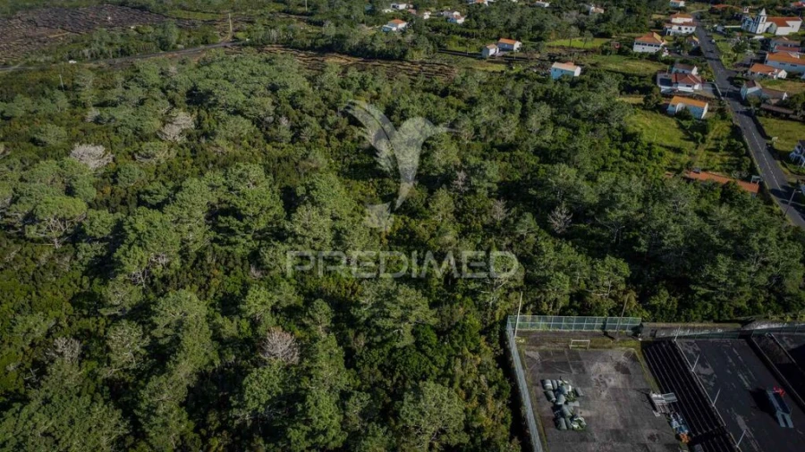 Terreno para Venda em Santa Luzia Foto 5