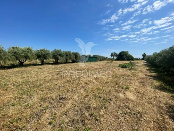 Terreno para Venda em Manique do Intendente, Vila Nova de São Pedro e Maçussa Foto 7