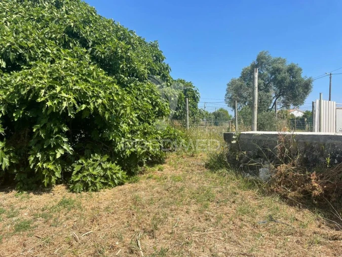 Terreno para Venda em Manique do Intendente, Vila Nova de São Pedro e Maçussa Foto 4