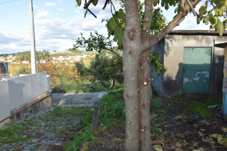 Moradia T2 para Venda em Caide de Rei Foto 14