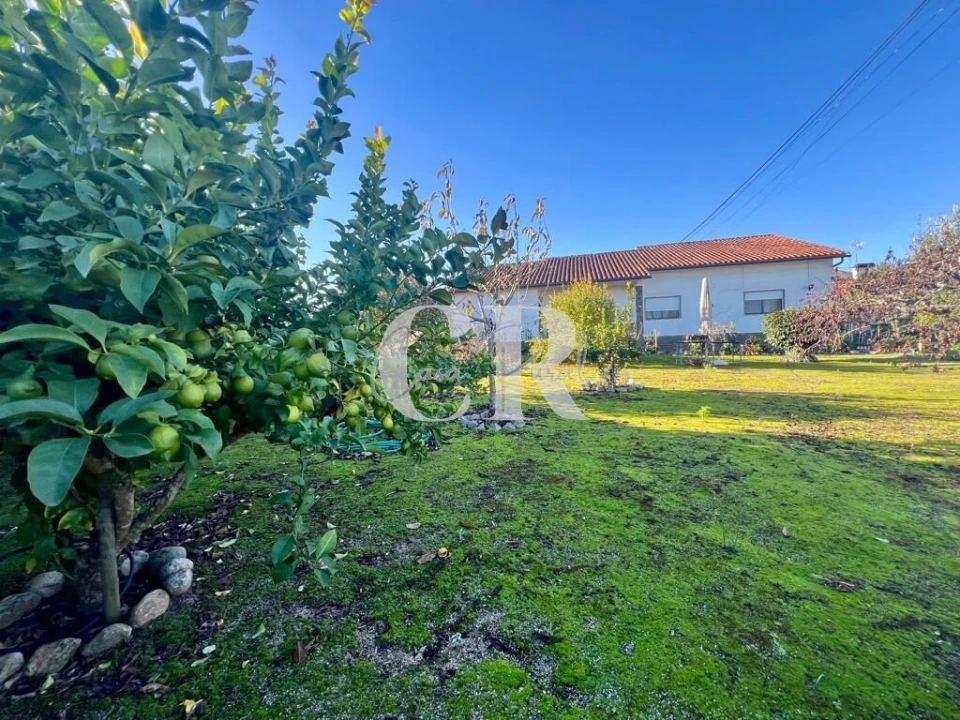 Moradia T4 para Venda em Arega Foto 10