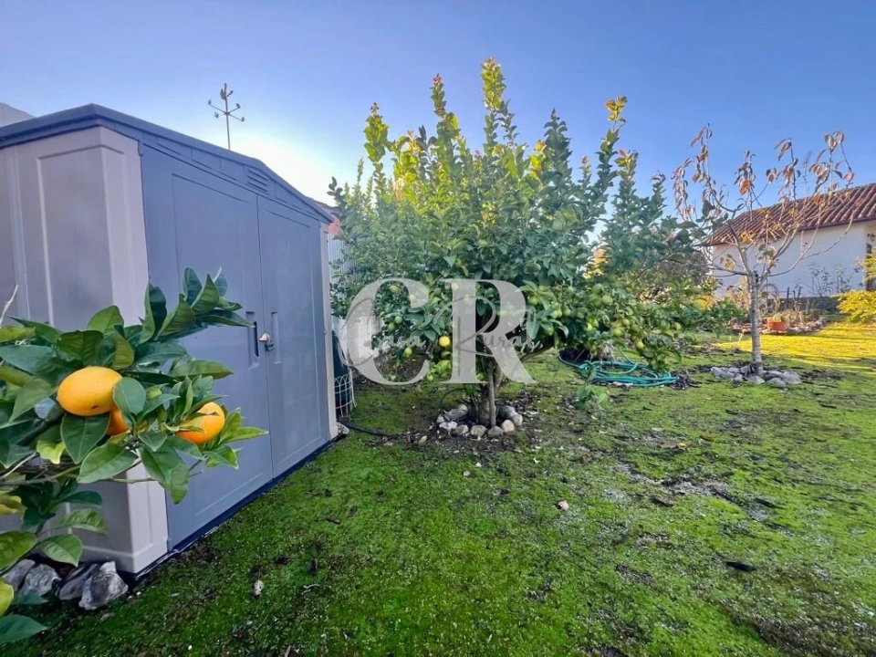 Moradia T4 para Venda em Arega Foto 9