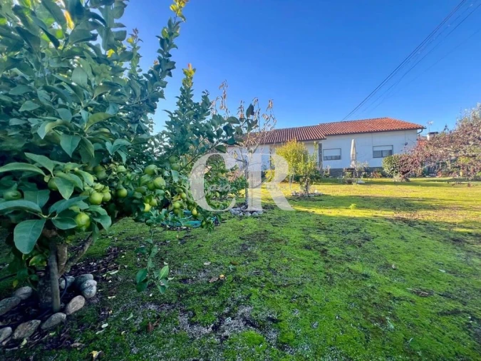 Moradia T4 para Venda em Arega Foto 10