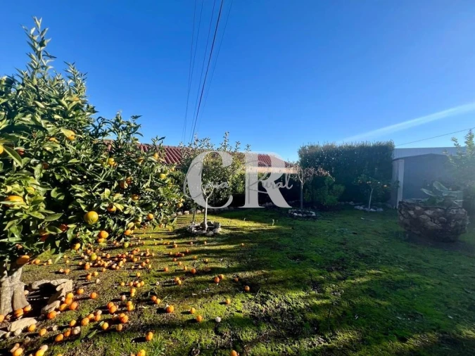 Moradia T4 para Venda em Arega Foto 7