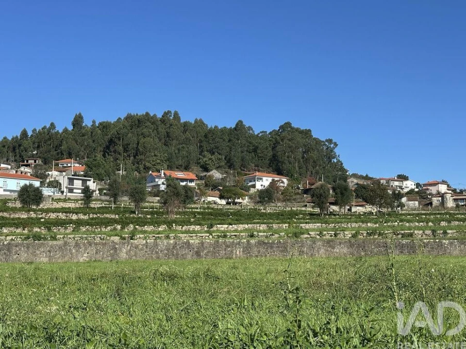 Quinta para Venda em Vila Cova e Feitos Foto 35