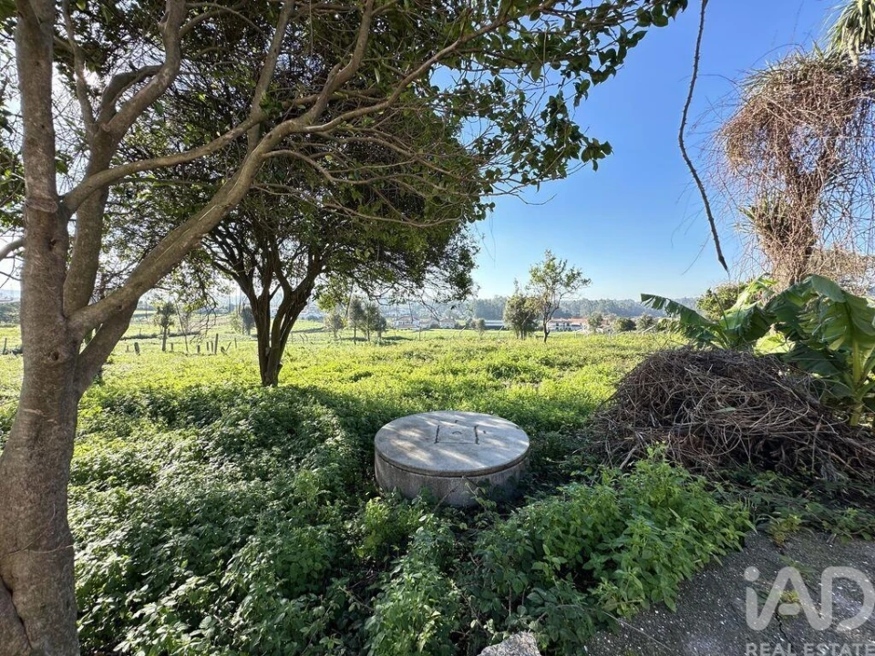 Quinta para Venda em Vila Cova e Feitos Foto 6