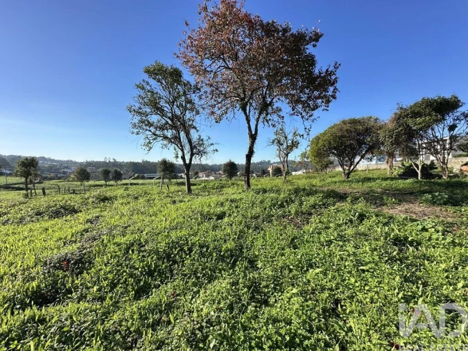 Quinta para Venda em Vila Cova e Feitos Foto 3