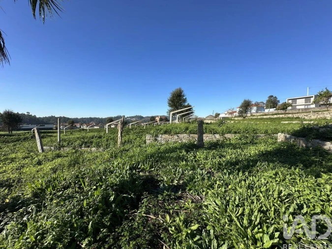 Quinta para Venda em Vila Cova e Feitos Foto 30
