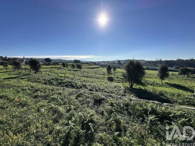 Quinta para Venda em Vila Cova e Feitos Foto 32