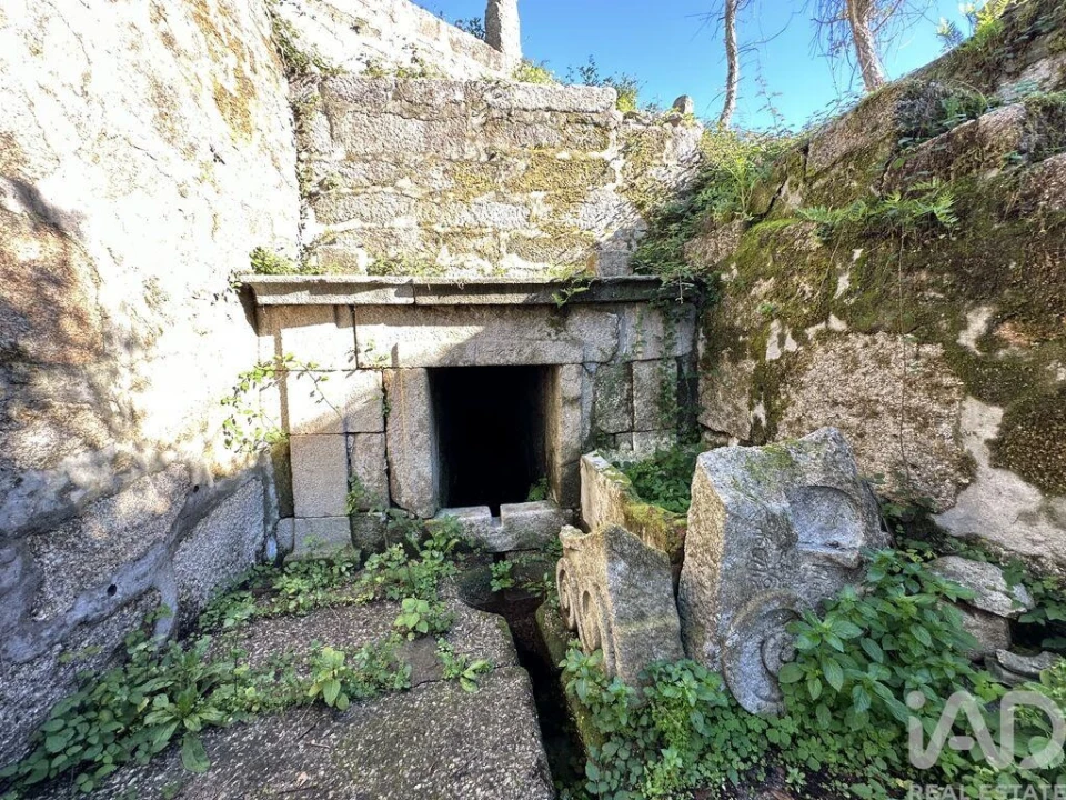 Quinta para Venda em Vila Cova e Feitos Foto 29