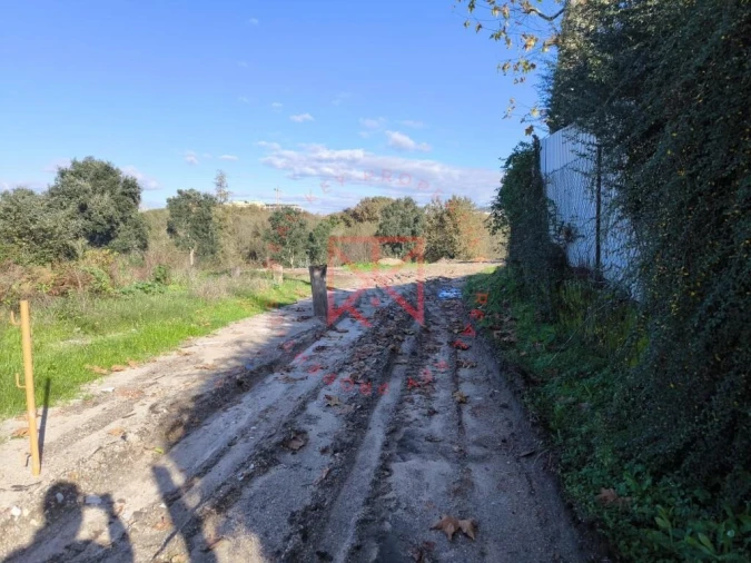 Terreno para Venda em Frazão Arreigada Foto 3