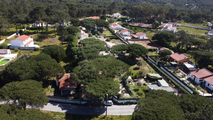 Terreno para Venda em Colares Foto 5