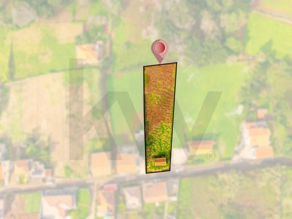 Terreno para Venda em Porto Moniz Foto 7