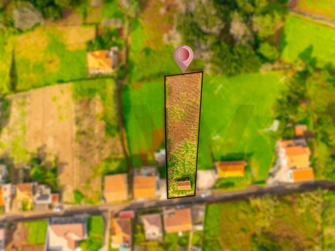 Terreno para Venda em Porto Moniz Foto 2