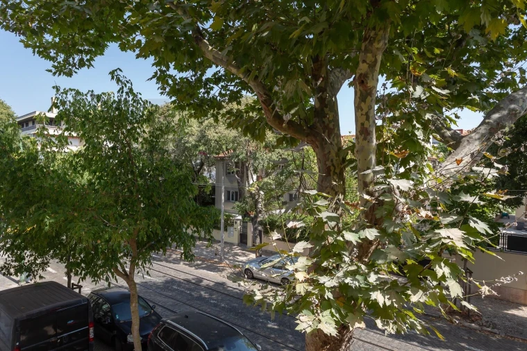 Apartamento T2 para Venda em Belém Foto 4