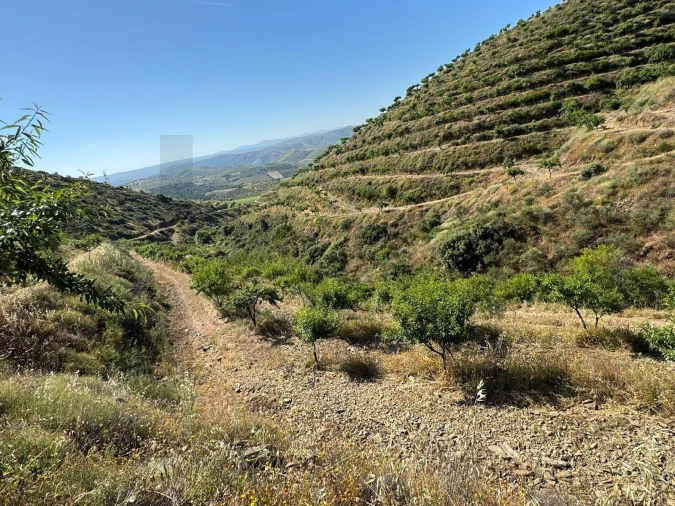 Terreno para Venda em Longroiva Foto 3
