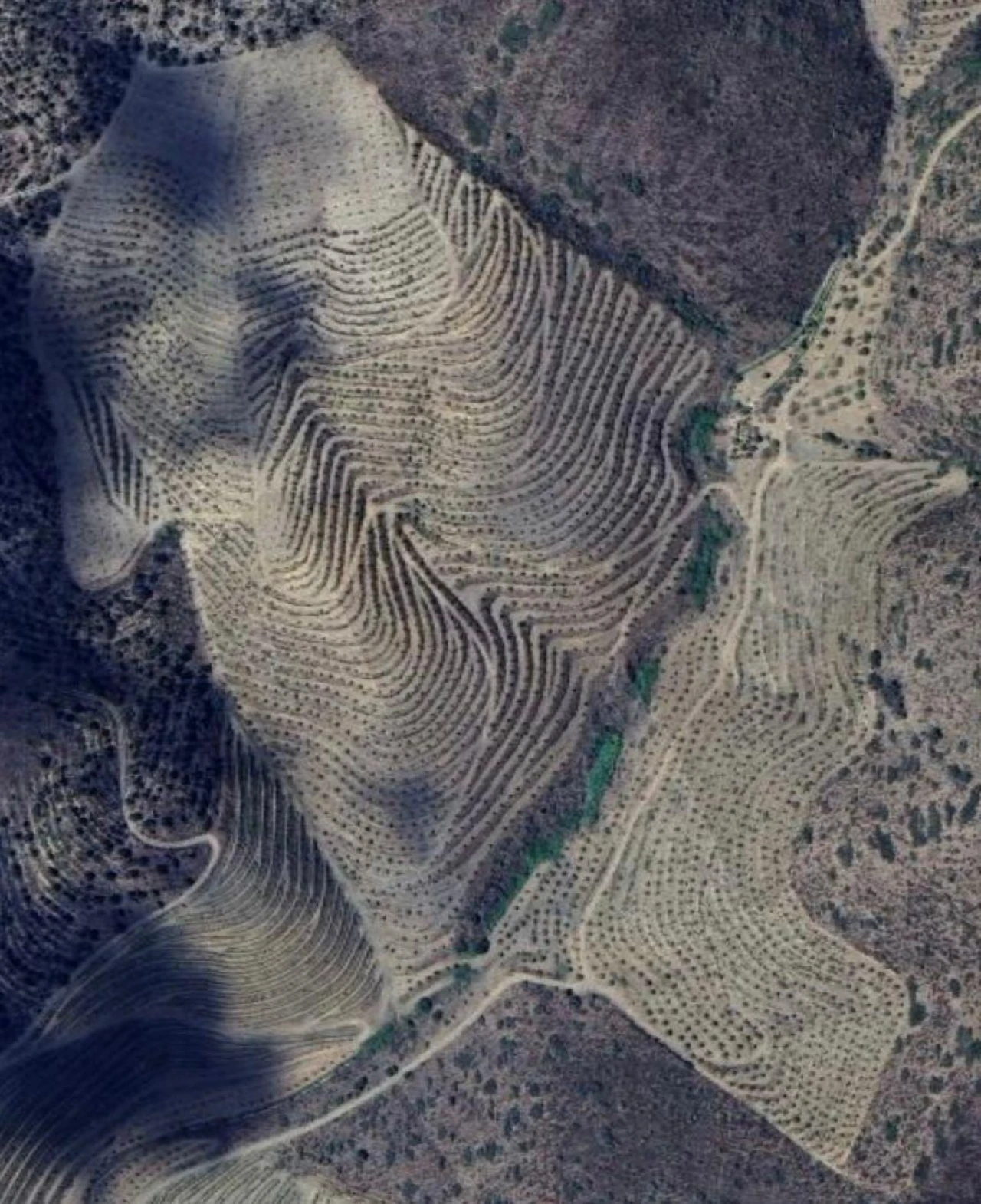 Terreno para Venda em Longroiva Foto 6