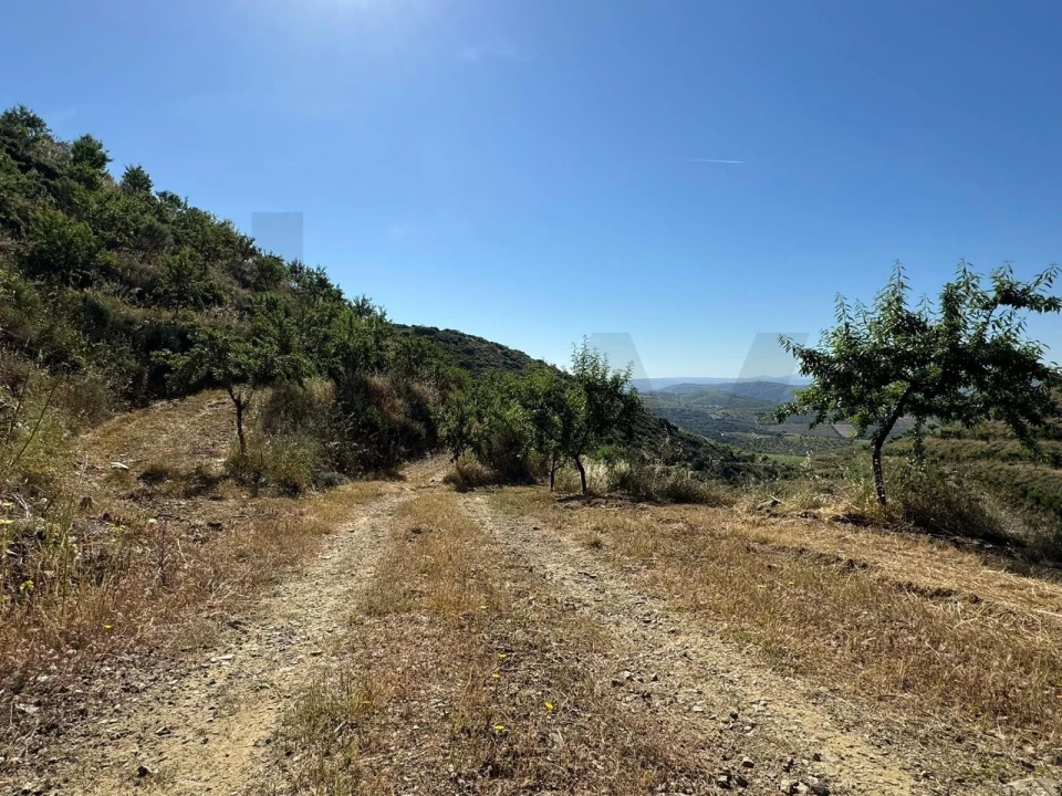 Terreno para Venda em Longroiva Foto 2