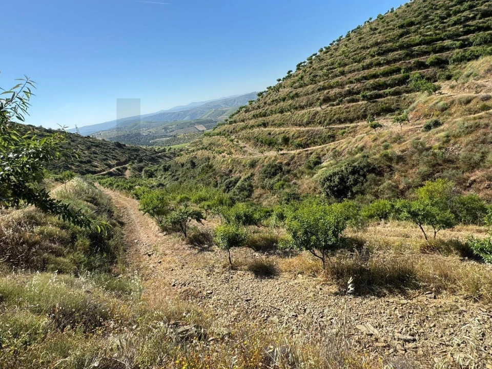 Terreno para Venda em Longroiva Foto 3