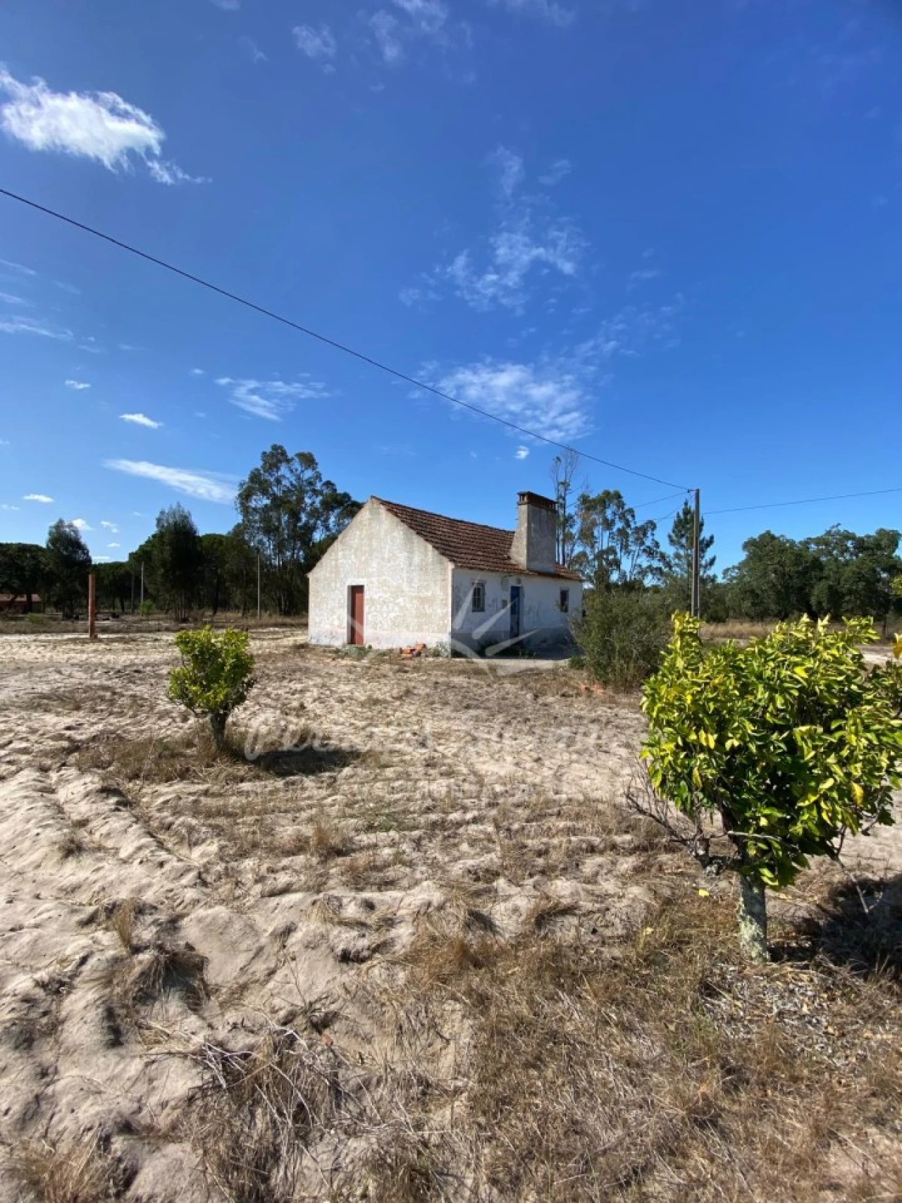 Quinta T1 para Venda em Grândola e Santa Margarida da Serra Foto 4