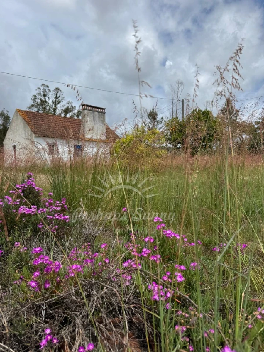 Quinta T1 para Venda em Grândola e Santa Margarida da Serra Foto 3