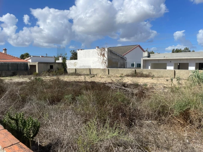 Terreno para Venda em Azeitão (São Lourenço e São Simão) Foto 3