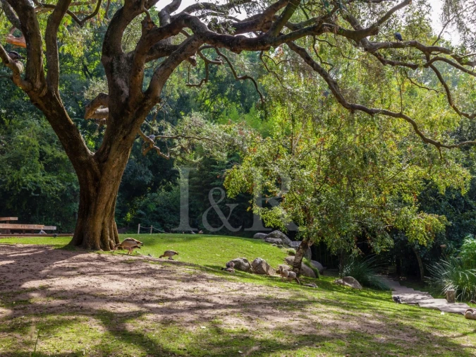 Apartamento T3 para Venda em Avenidas Novas Foto 13