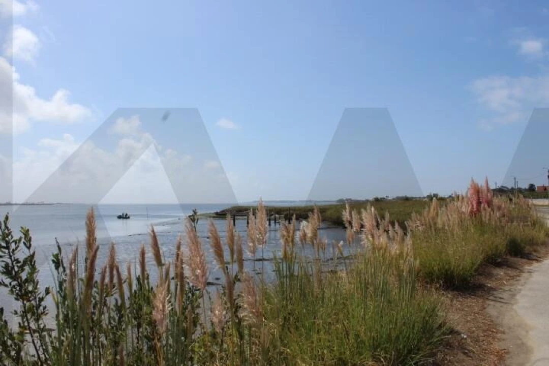 Prédio para Venda em Torreira Foto 10