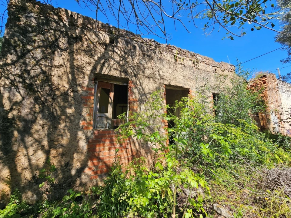 Terreno para Venda em Salir Foto 1
