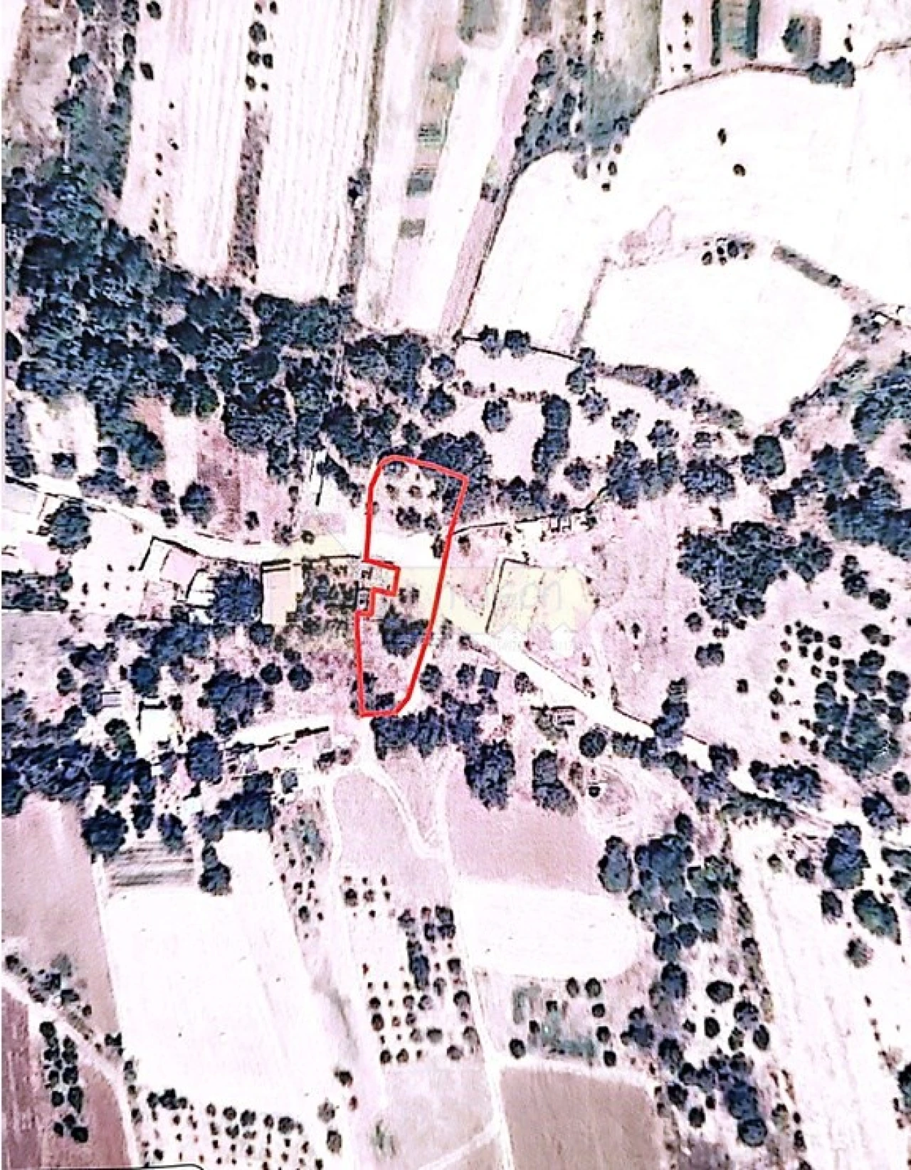 Terreno para Venda em Salir Foto 3