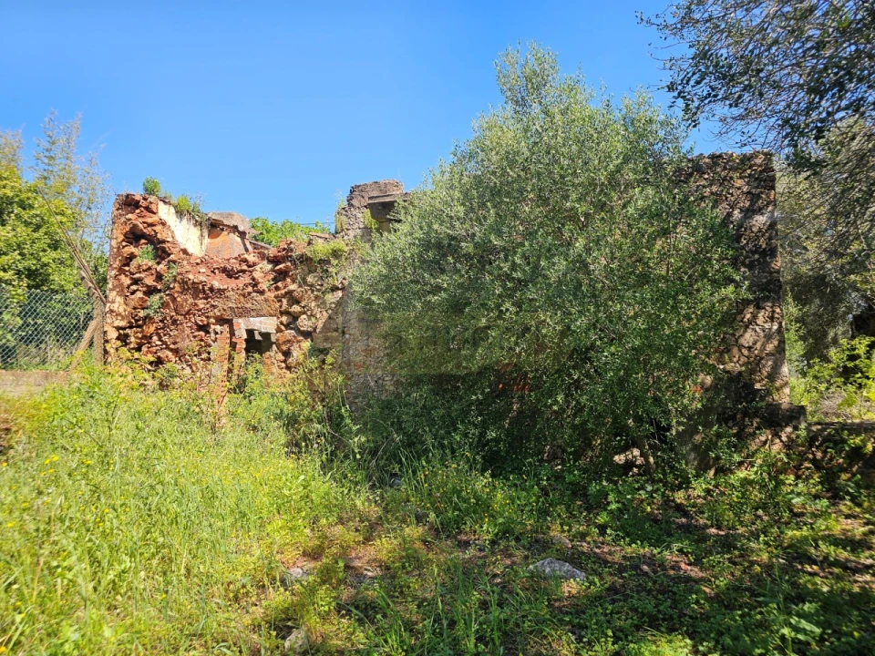 Terreno para Venda em Salir Foto 11