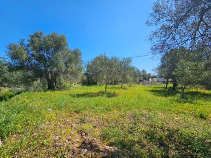 Terreno para Venda em Salir Foto 7